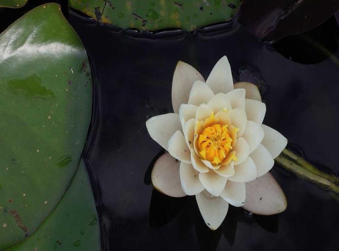 Your First 10 Minutes: A Quick Start Guide